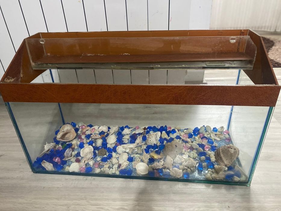 Acvariu pentru pești