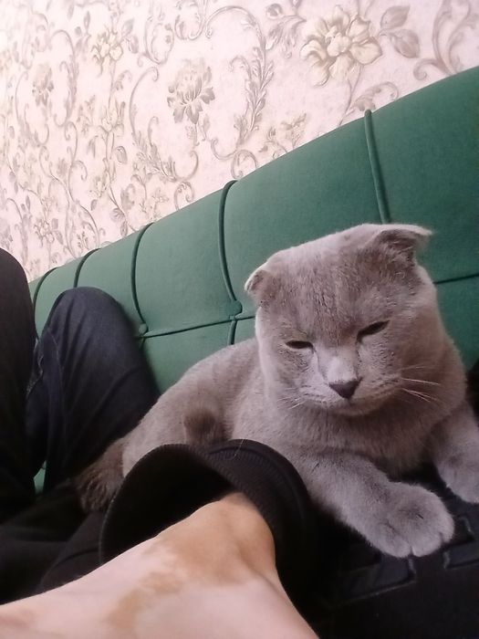 Активно ишем невесту для связки
