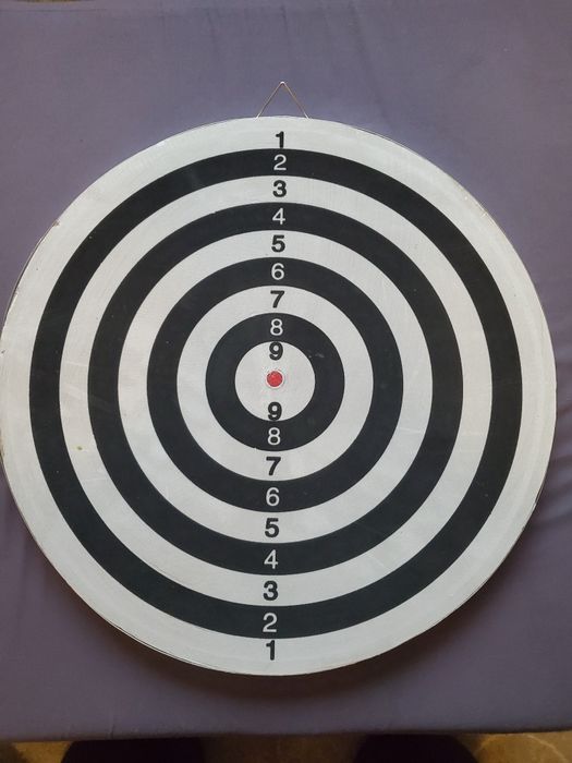 Joc - Darts profesional 2 in 1