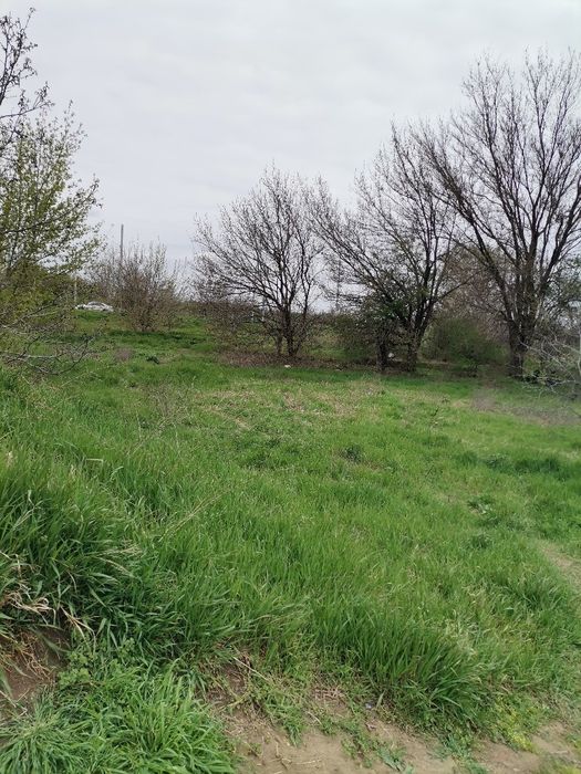 Продава се Парцел в Видин, Гео Милев - 656 кв.м за 51 €/кв.м - Снимка #1