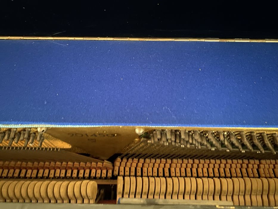 Pianina sotiladi