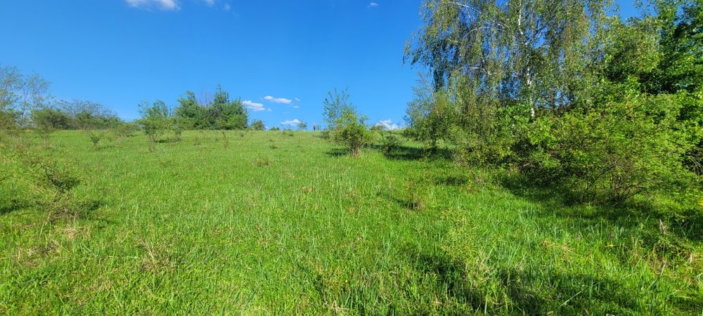 Vand teren arabil 3 ha