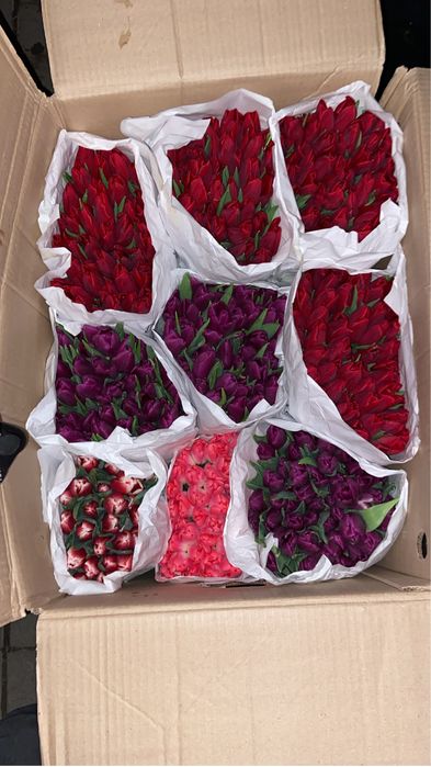 Тюльпаны Алматы 300тг шт.