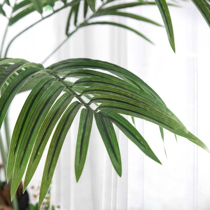 ПРОМО Висококачествено палмово дърво - 159 см - NEUTYPECHIC A-GE23015