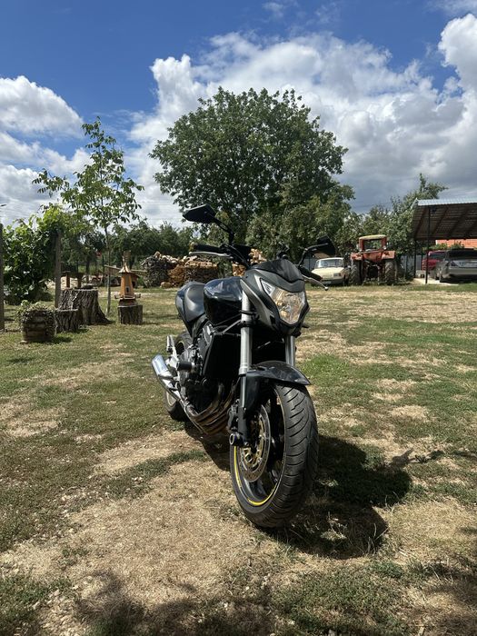 Honda Hornet 600 pc41