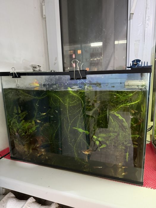 Продам аквариумы квадратный , овальный