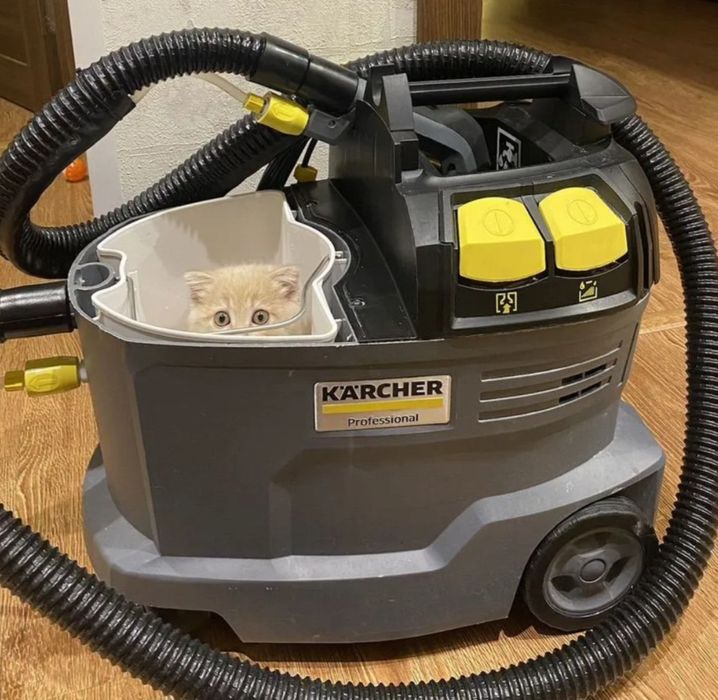 Химчистка мягкой мебели с выездом