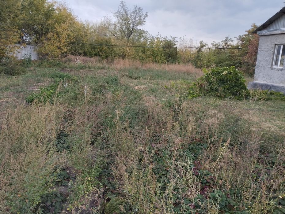 Продается дом с большим участком