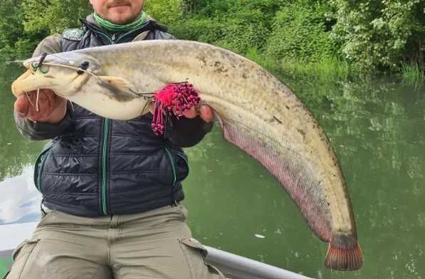 Примамка за риболов на сом на кльонк CLONK TEASER 150 и 200гр