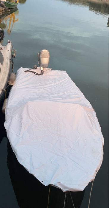 barca cu motor 30cp Honda