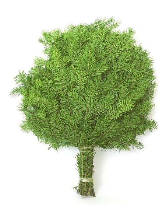 Пихтовый веник Атырау