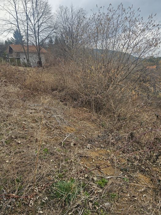 Парцел в регулация