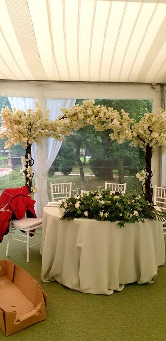 Corturi profesionale