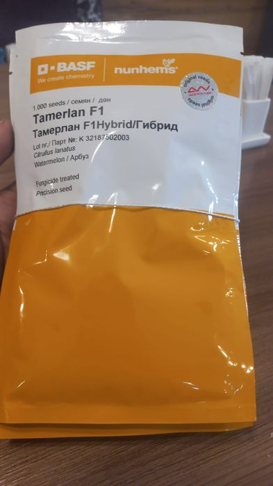 семена арбуза талисман