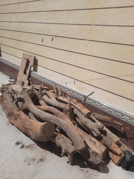 Õtinlar va kundalar