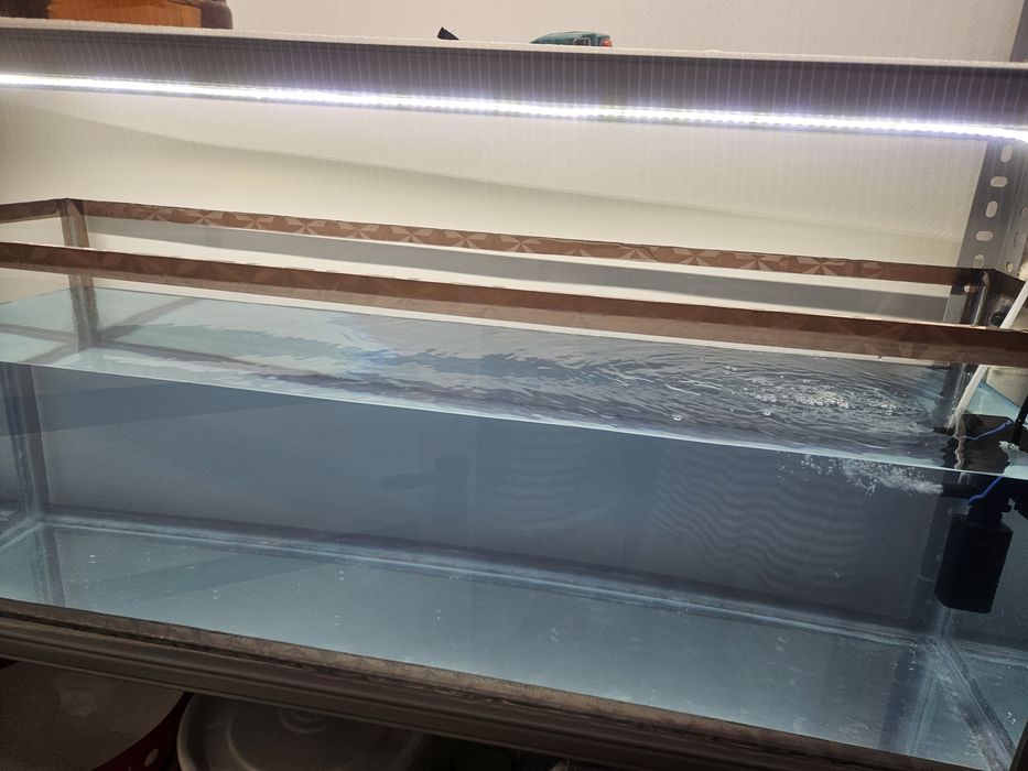 Akvaruy sotiladi hajmi 100l