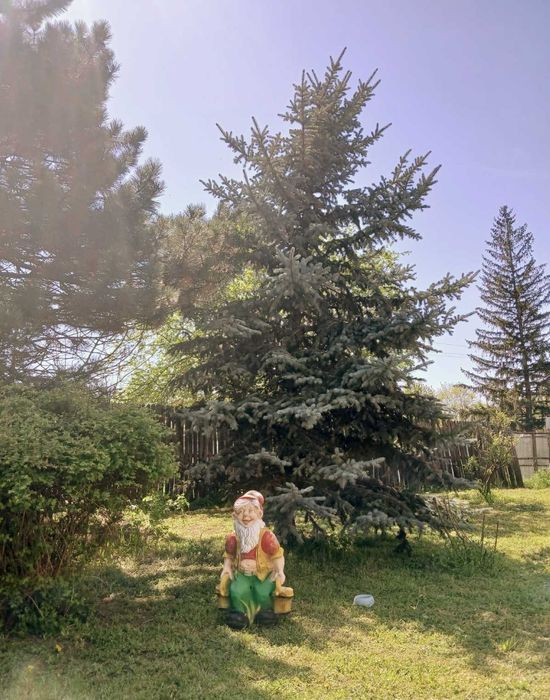 Vila in Barcanesti cu unic proprietar, aproape de orasul Urziceni