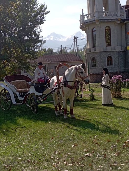 Карета на прокат