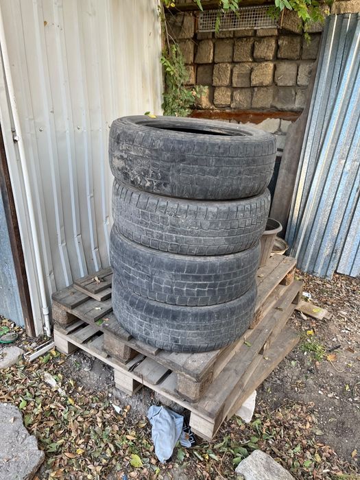 Шины липучка DunLop