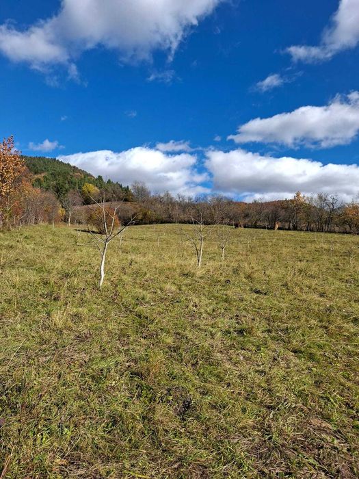 Ultimile loturi! Vând teren intravilan în Piatra Neamț, zona Bistrița