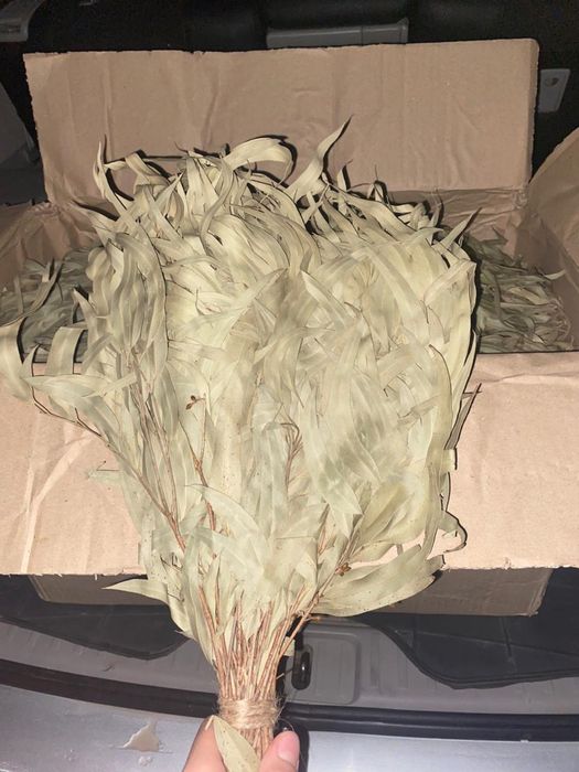 Банные веники