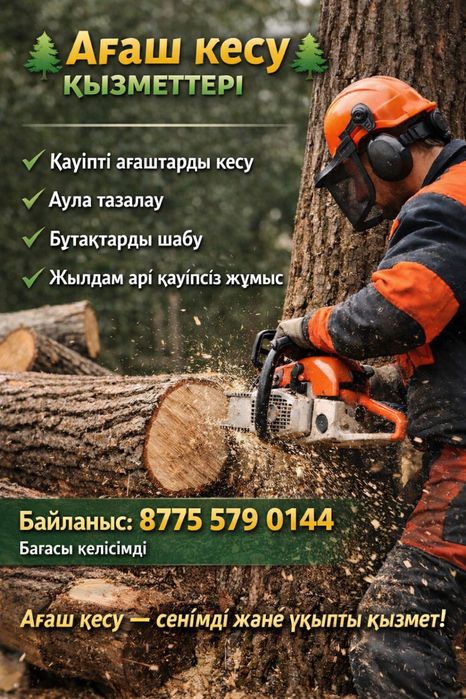 Сарыагаш Агаш Кесу