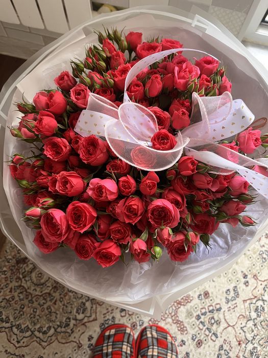 Цветы свежая роза пуч