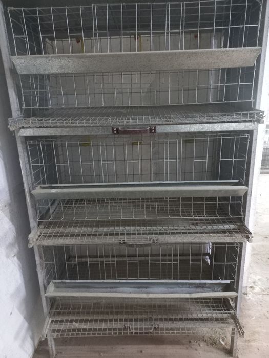 Клетка для содержания курочек