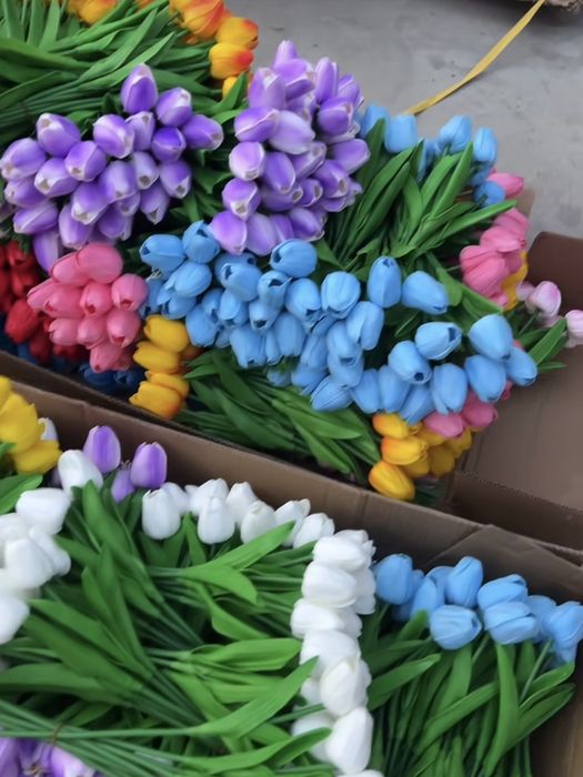 Лолалар 10та почкасида