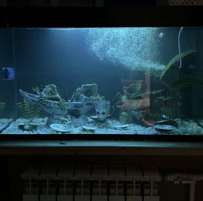 Продам аквариум , Akvarim sotiladi