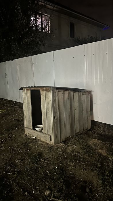 Собачья будка, конура