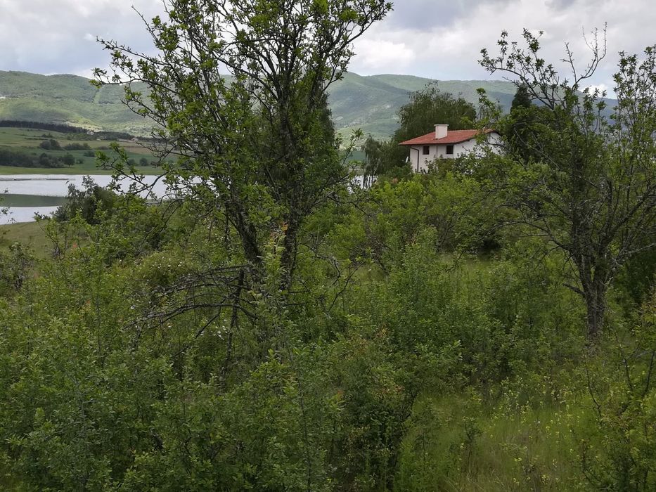 Продава се Парцел в с. Логодаж, Област Благоевград - 600 кв.м за 17 €/кв.м - Снимка #4