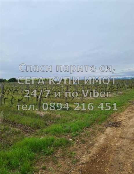 Лозя гледани 10000м2, до вода и път - код 61765