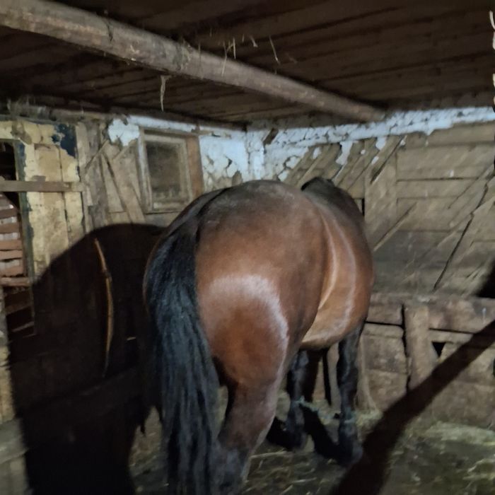 Vand noaten de 1 an si 11 luni