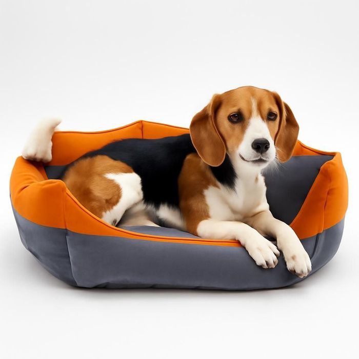 Лежанки премиум класса.