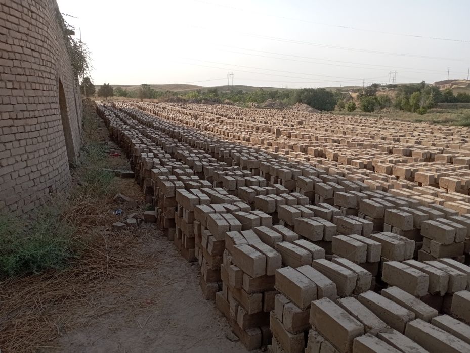 Xom va pishkan g'isht