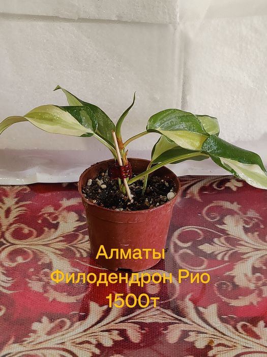 Продам Хобби для души