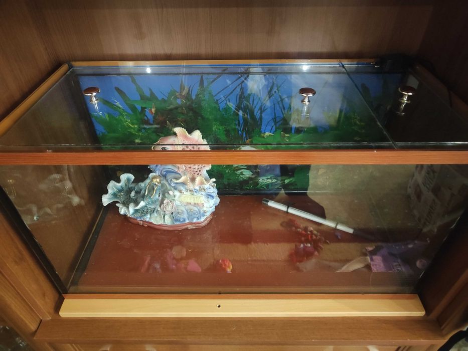 Аквариум для рыбок