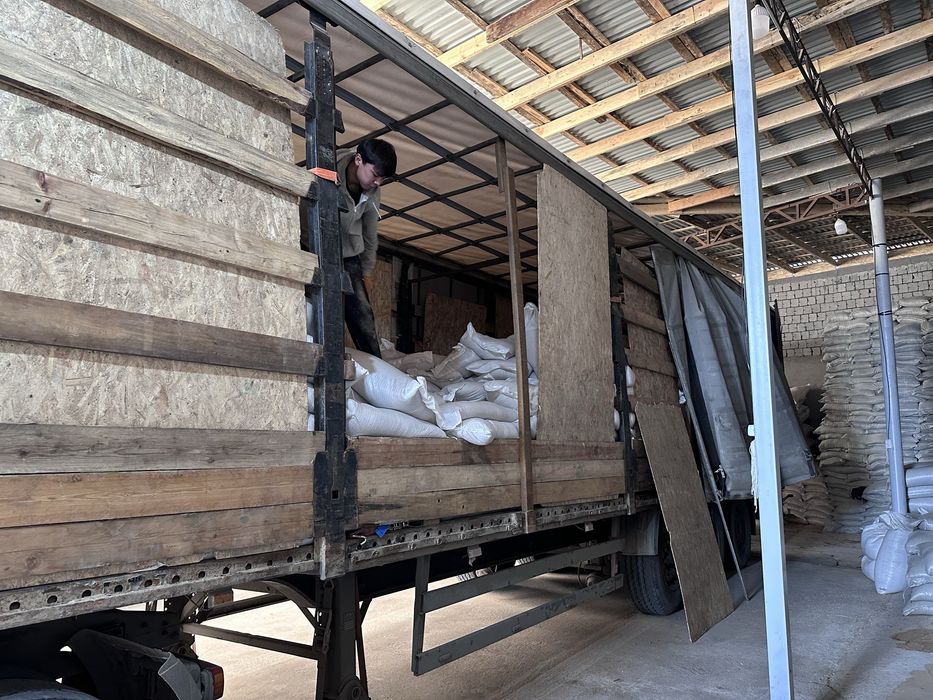 Таза бидай пшеница