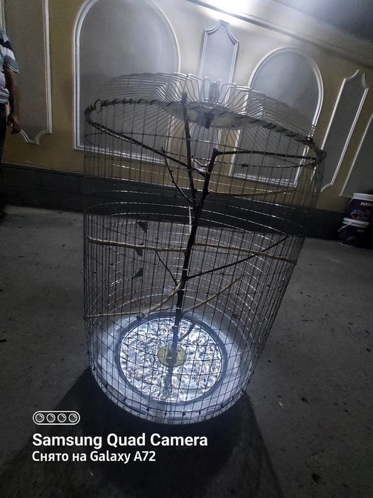 Qafas kanareka totilar uchun