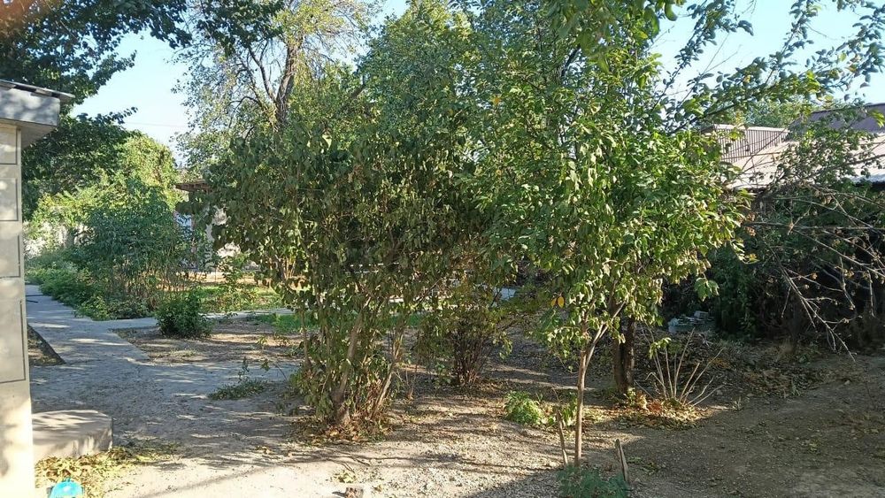 Дом на Кайнар Булаке