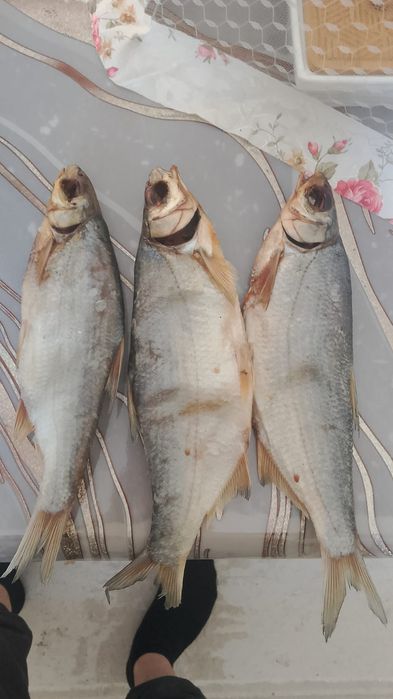 Балық балық сатлымда