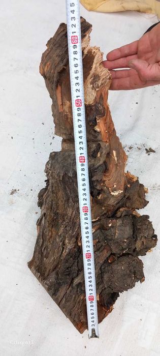 Декорация за терариум