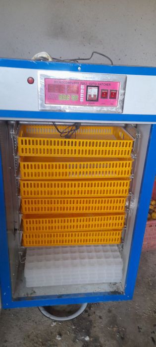 Inkubator sotiladi holati yangi