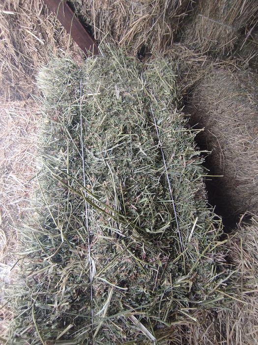 Шоп сатылады пресс