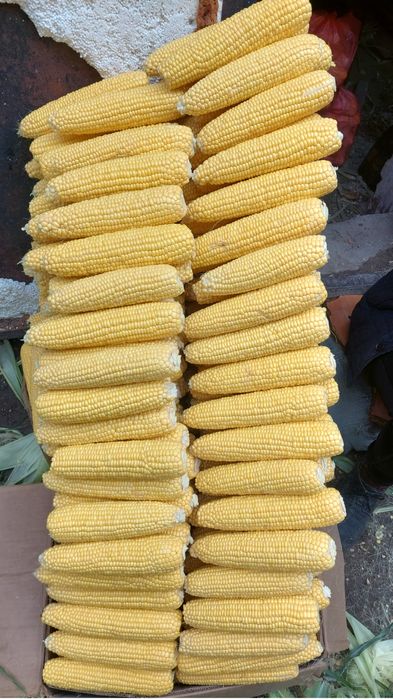 Кукуруза оптом город Актобе