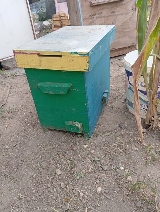 Nuclee de împerechere regine / mătci