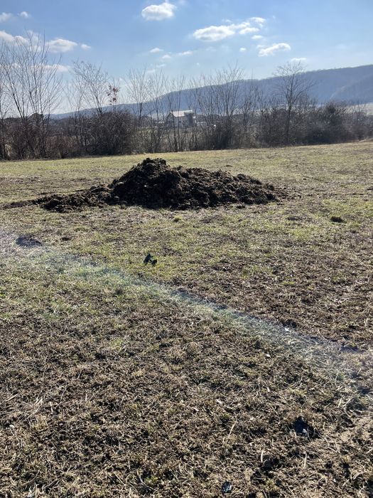 Vînd balegar pentru gradina .