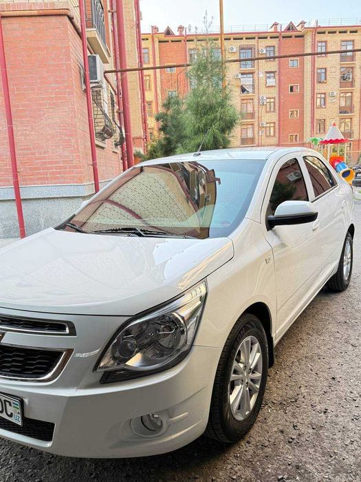 Коблт 2025 йил оқ ранг