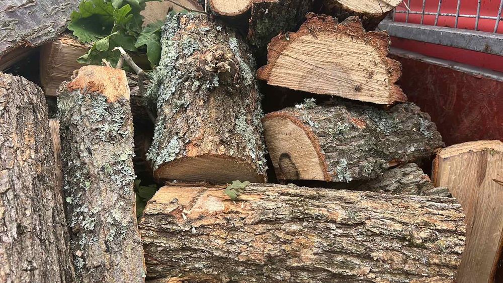 Дърва за огрев варна